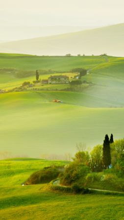 Tuscany, Italy, Europe, hills, field, fog, 5k (vertical)