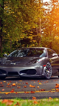 Ferrari 430 Scuderia, 2018 Cars, autumn, road, 5k (vertical)