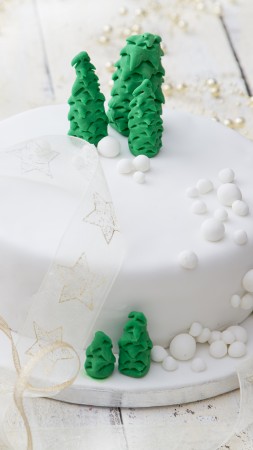 christmas cake, receipt, 5k (vertical)