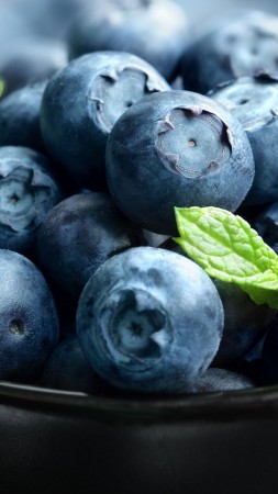 blueberry, berries, 4k (vertical)