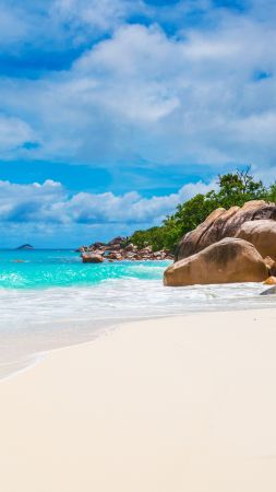 Maldives, Seychelles, beach, ocean, coast, palm, sky, 5k (vertical)