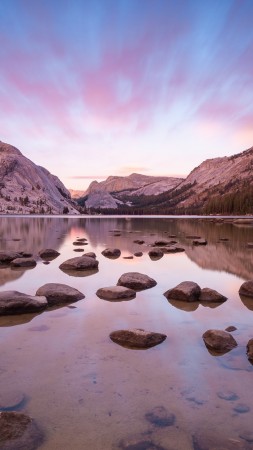 yosemite, 5k, 4k wallpaper, forest, OSX, apple, lake, stones, water (vertical)