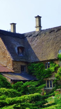 Thatched House, Green, Roof, 4K (vertical)