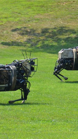 LS3, Cujo, Best Robots of 2015, robotic mule, army, robot, U.S. Army, test, patrol (vertical)