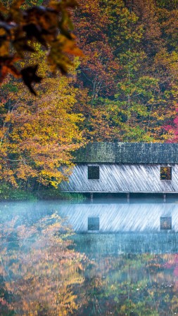 Bridge, Huntsville, Alabama, USA, Bing, Microsoft, 8K (vertical)