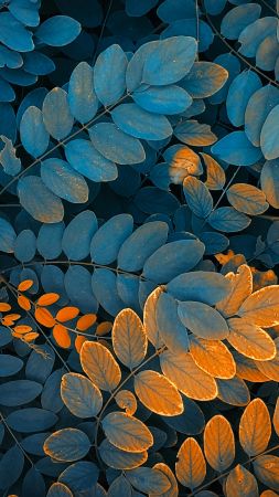 leaves, autumn, 4K (vertical)