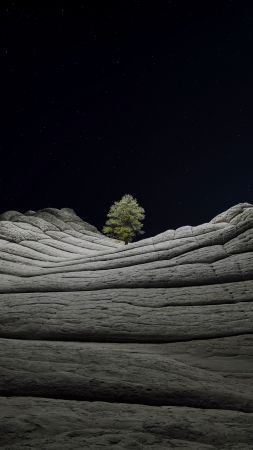 iOS 14.2, Desert, Tree, Night, 4K (vertical)