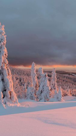 winter, snow, ice, sky, 5K (vertical)