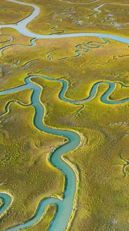 river, Mockhorn Channel, green, Earth, 4K (vertical)