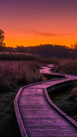 boardwalk, grass, sunset, 8K (vertical)