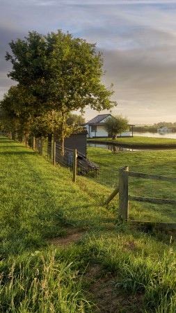 park, Thurne, Norfolk, summer, grass, sky, 8K (vertical)