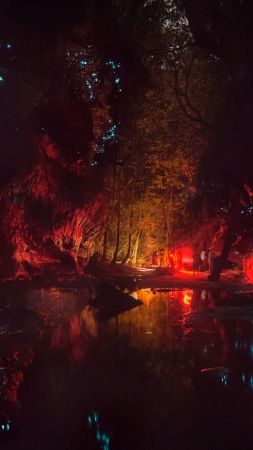 night, forest, dark, river, 8K (vertical)