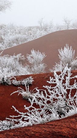 frost, winter, snow, fog, white, 5K (vertical)