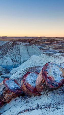 winter, frost, snow, rocks, earth, 5K (vertical)