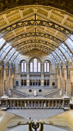 Natural History Museum, London, tourism, travel, vacation, resort (vertical)