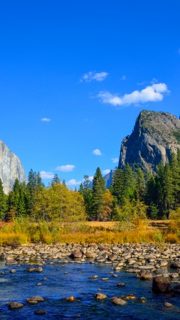 Yosemite, 5k, 4k wallpaper, 8k, forest, OSX, apple, mountains (vertical)