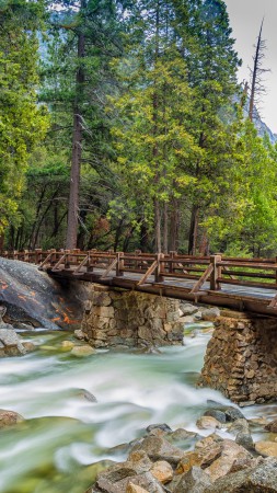 Yosemite, 5k, 4k wallpaper, 8k, forest, OSX, apple, mountains, bridge (vertical)