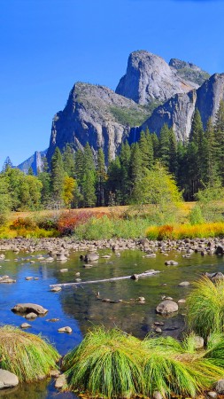 Yosemite, 5k, 4k wallpaper, 8k, forest, OSX, apple, mountains (vertical)