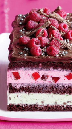 Cake, chocolate, ice cream, berries, raspberry, pink (vertical)