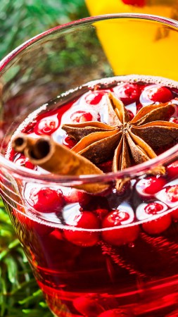 Coctails, berries, cinnamon (vertical)