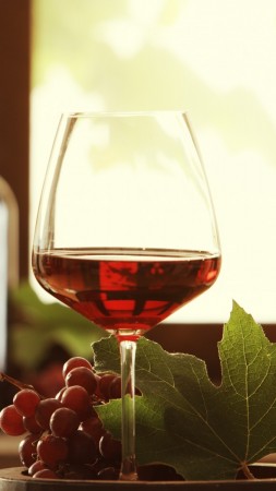 Wine, drink, alcohol, grapes, leaves (vertical)