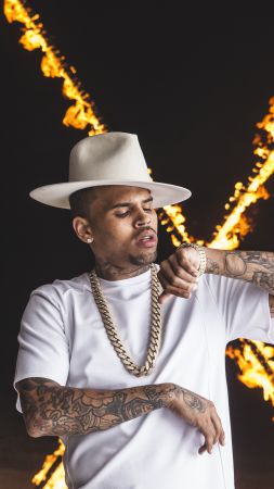 Chris Brown, Top music artist and bands, singer (vertical)