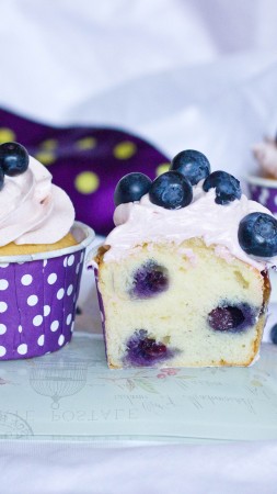 Cupcake, fairy cake, blueberry (vertical)