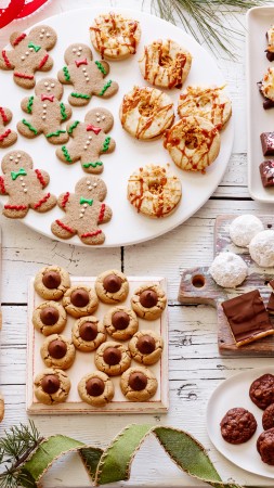 holiday cookies, chocolate, ginger, dried fruit, gingerbread man (vertical)