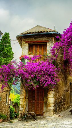 Provence, France, Tourism, Travel (vertical)