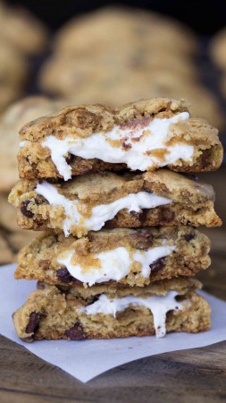 Cookies, marchmallow, chocolate (vertical)