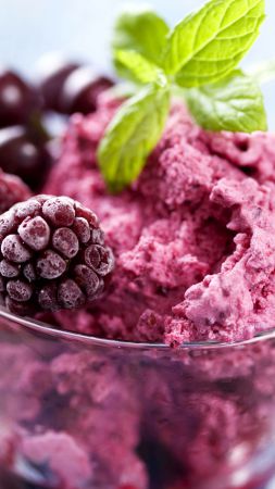 Ice cream, blueberries, mint (vertical)