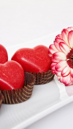 Valentine's Day, February 14, flowers, chrysanthemum, chocolate, candy, hearts, love (vertical)