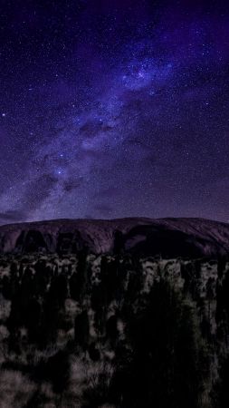 Ayers, 5k, 4k wallpaper, mountains, night, stars, trees (vertical)