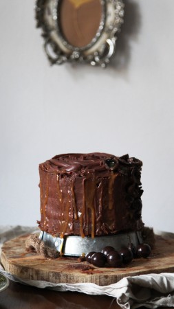 cake, chocolate, cherries, raisins (vertical)