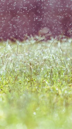 Meadows, 5k, 4k wallpaper, 8k, wildflowers, blur (vertical)