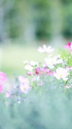 Meadows, 5k, 4k wallpaper, wildflowers, flowers, spring (vertical)