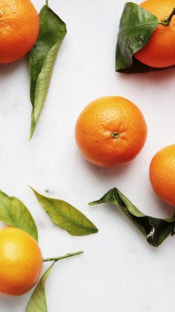 tangerines, leaves, background (vertical)