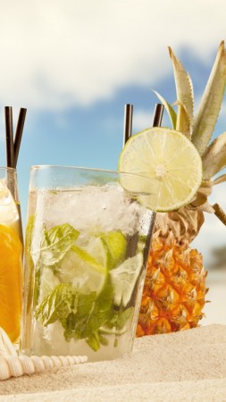 cocktails, ice, fruit, orange, pineapple, beach, summer, sand, shells, sun (vertical)