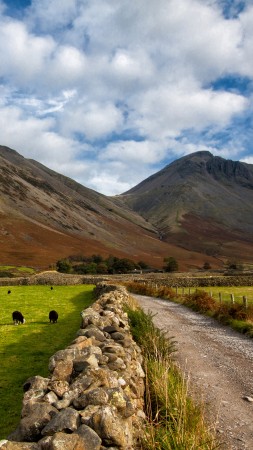 Lake District, 5k, 4k wallpaper, National Park, Cumbria, England, hills, meadows, goats (vertical)