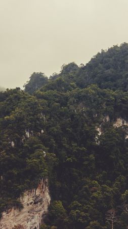 Thailand, 4k, 5k wallpaper, 8k, mountains, mist, hills (vertical)