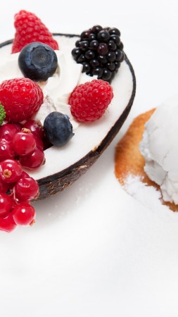 sorbet, coconut, berries, red currant, blackberries, raspberries, blueberries, ice, ice, flowers (vertical)