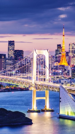 Tokyo Bay, Japan, bridge, night, travel, tourism (vertical)