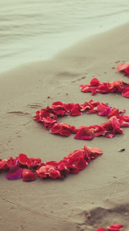 Shore, 5k, 4k wallpaper, 8k, beach, petals, love, sand (vertical)