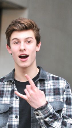 Shawn Mendes, Top music artist and bands, blogger (vertical)