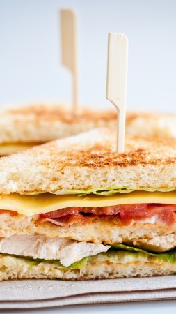 sandwich, cheese, bacon, chicken, lettuce, tomato (vertical)