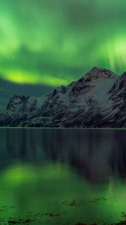 Aurora Borealis, 5k, 4k wallpaper, Abisko, Sweden, tourism, travel, green, lake, National Park (vertical)