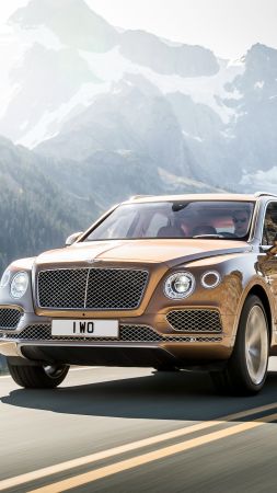 Bentley Bentayga, test, Frankfurt 2015,  (vertical)