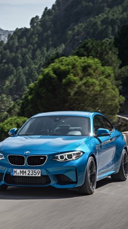 BMW M2, blue, SUV, xDrive, sDrive (vertical)