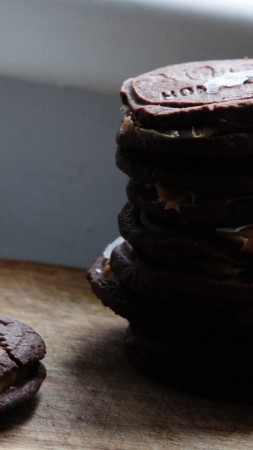 cookies, chocolate, salt, cup (vertical)