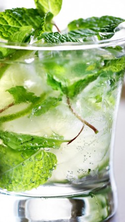 cocktails, gin, ice, mint (vertical)